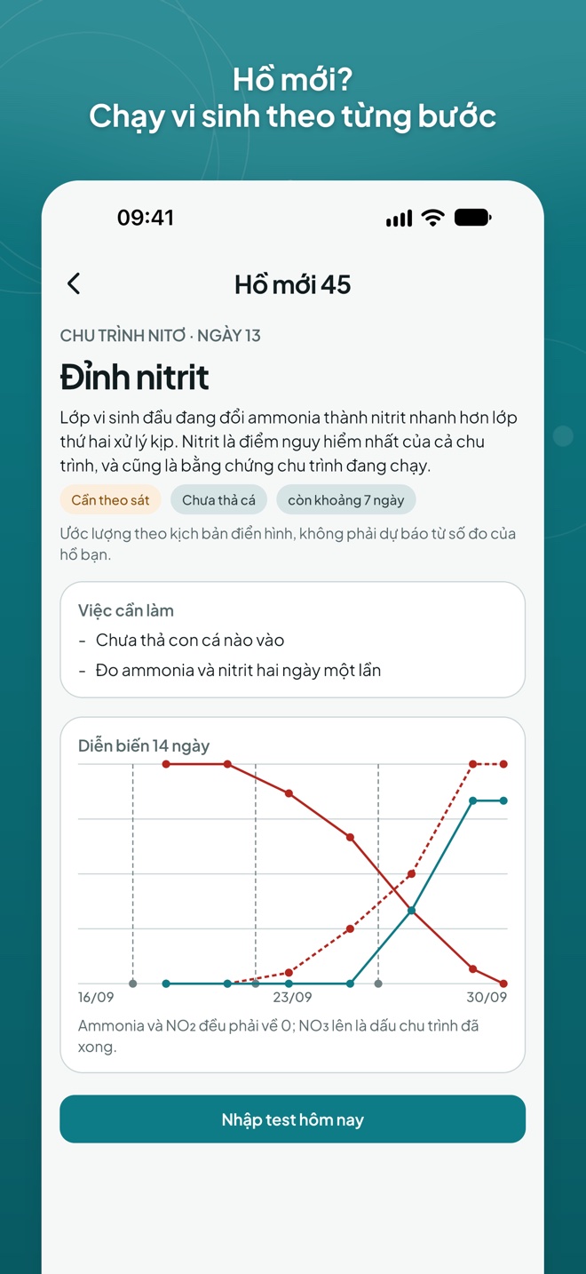 Hồ mới? Chạy vi sinh theo từng bước